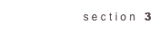 section 3