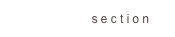 section 6