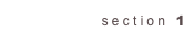 section 1